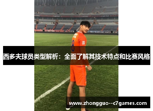 西多夫球员类型解析：全面了解其技术特点和比赛风格