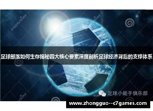 足球部落如何生存揭秘四大核心要素深度剖析足球经济背后的支撑体系