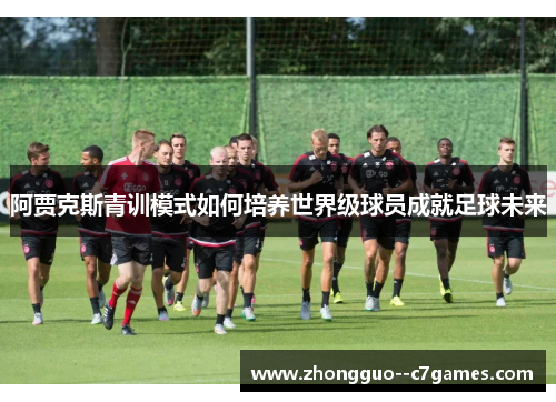阿贾克斯青训模式如何培养世界级球员成就足球未来